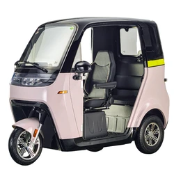 Three Wheel Enclosed Scooter Cabin Car Electric Tricycle Tuktuk Power Trike