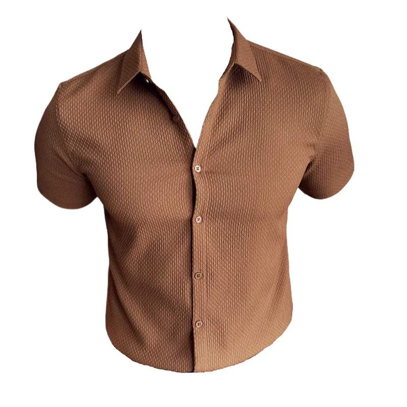 High End Waffle Shirt Men's Clothing 2024 Summer No Ironing Business Social Shirts For Men Short Sleeve Casual Dress Shirts Slim - AliExpress 200000343 High End Waffle Shirt Men's Clothing 2024 Summer No Ironing Business Social Shirts For Men Short Sleeve Casual Dress Shirts Slim - AliExpress 200000343
