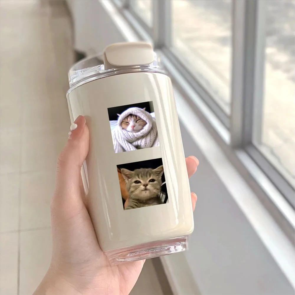 59 ملصقًا للقطط الغاضبة - شارات قطط لطيفة للديكور والحرف اليدوية لتسجيل متجر YourLife #4