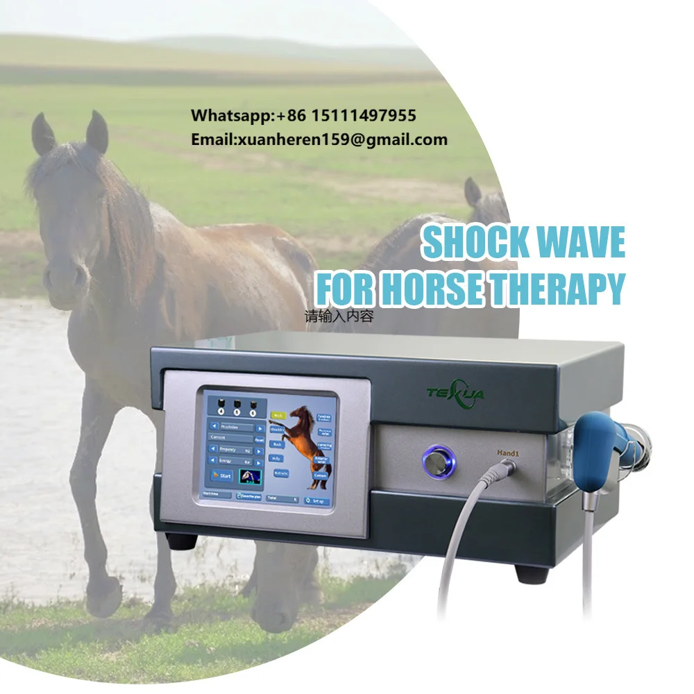 Portable Pneumatic Equine Shockwave Therapy Machine with AC 110-220V Power for Horse Pain Relief