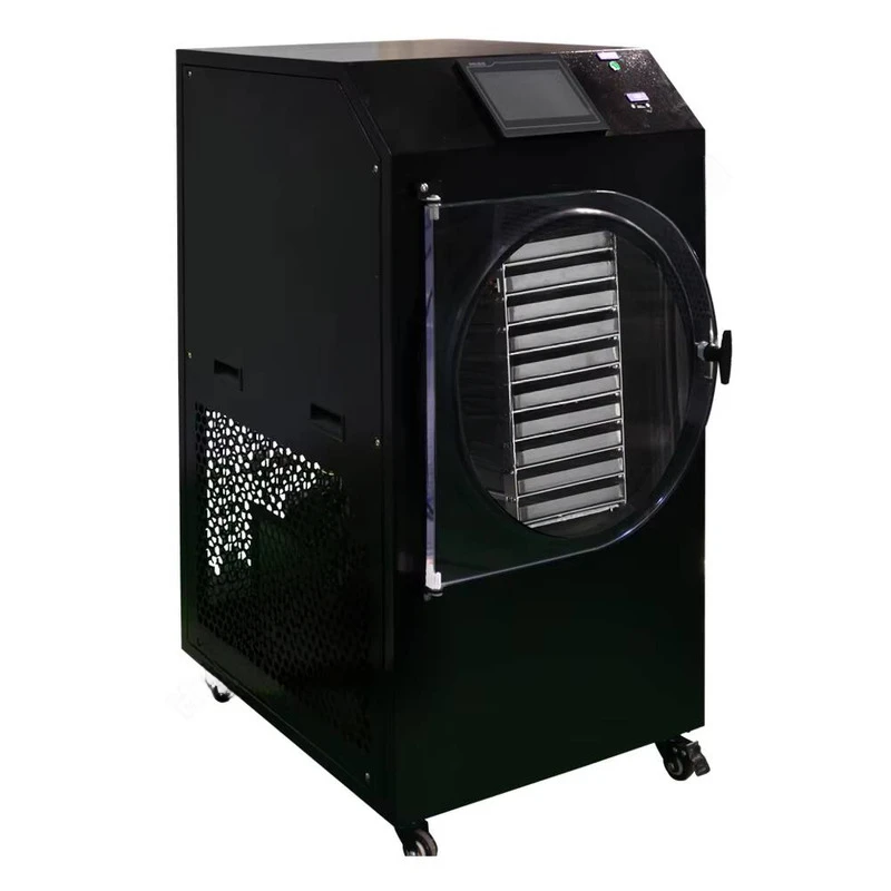 2-3 kg Hfd-1 Liofilizzatore per caffè Multi collettore Liofilizzatore sottovuoto Liofilizzatore da laboratorio Controllo interruttore indipendente