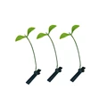 3PCS