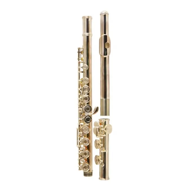 

Professional Musical Instruments Flute, Stage Playing Flute