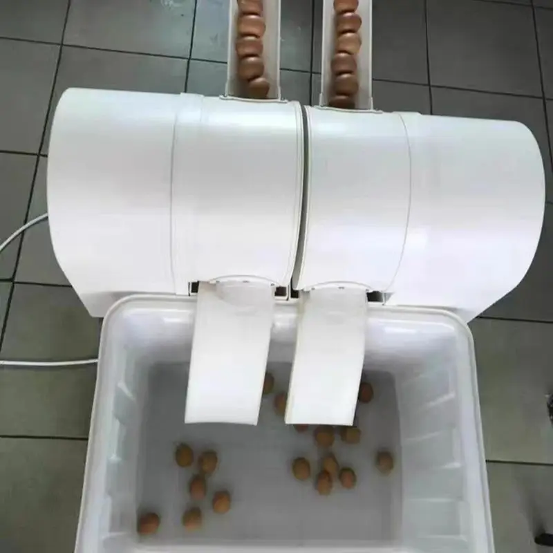 غسالة البيض الكهربائية الدجاج البط أوزة البيض غسالة البيض الأنظف غسالة 2300 قطعة/ساعة معدات مزرعة الدواجن #5