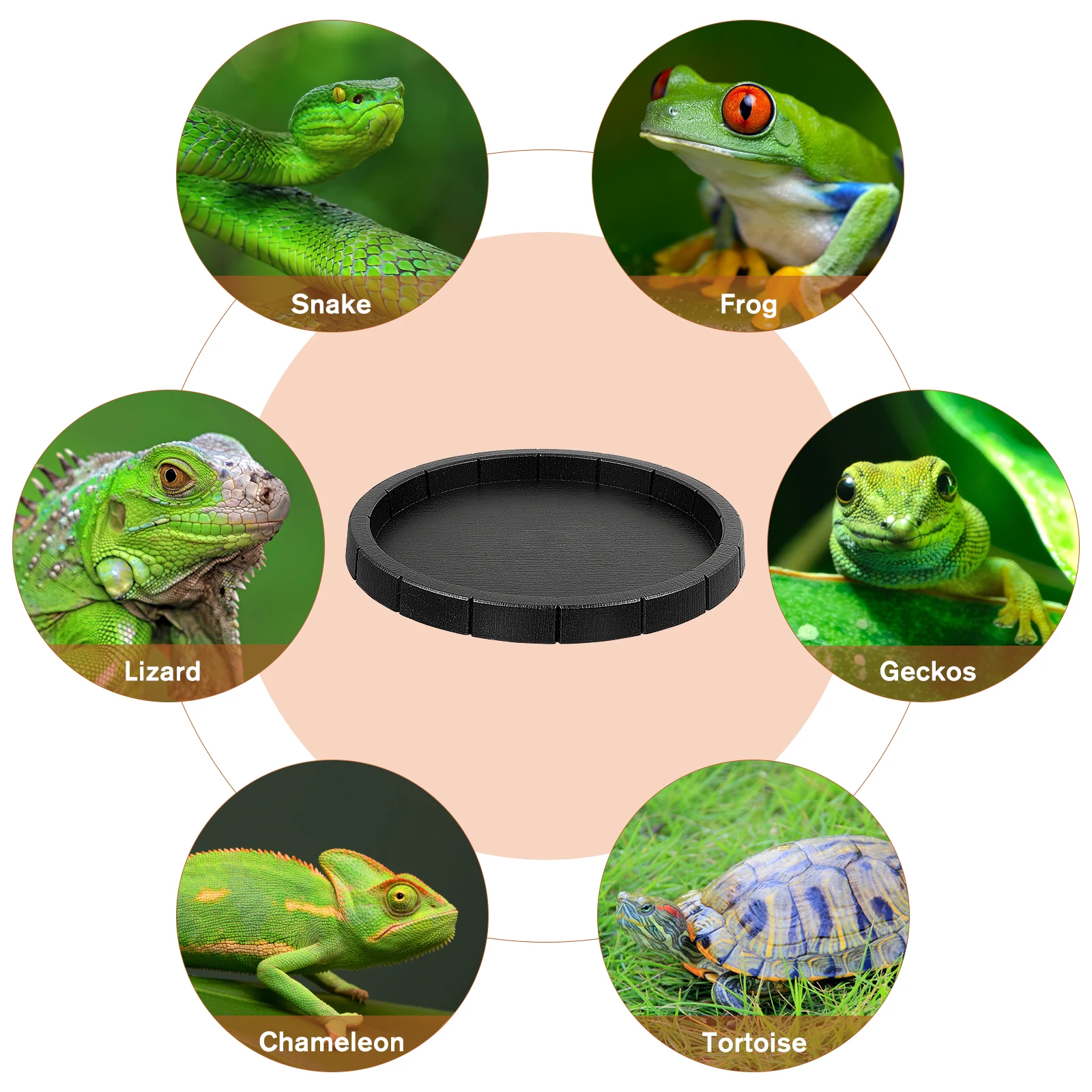 

2Pcs Reptiles Feeding Bowls Eco-Friendly Plastic Food and Water Containers for Pets Easy Clean Reptile Eating Bowls Pet Supplies