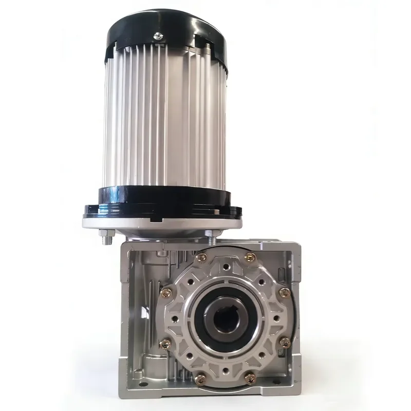 4000W Brushless DC Gear Motor 48V 60V 72V High Torque Industrial Waterproof Electric Tricycle Four Wheeler Drive Unit ROHS