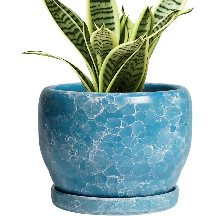

6 Inch Plant Pot Ceramic Indoor Planter with Drainage Hole and Saucer Drative Ceramic Flower Pot Outdoor Round Succulent Plante