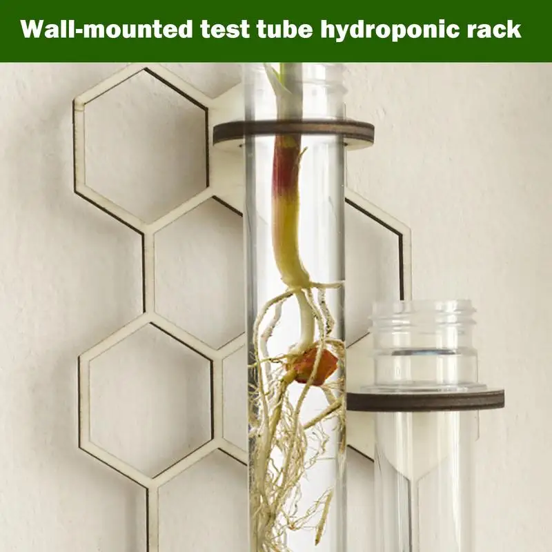 Wall Mount Plants Terrarium Plant Terrarium Planter Wall Art Honeycomb Storage Rack Plant Test Tube Wall Decor Flower Vase For