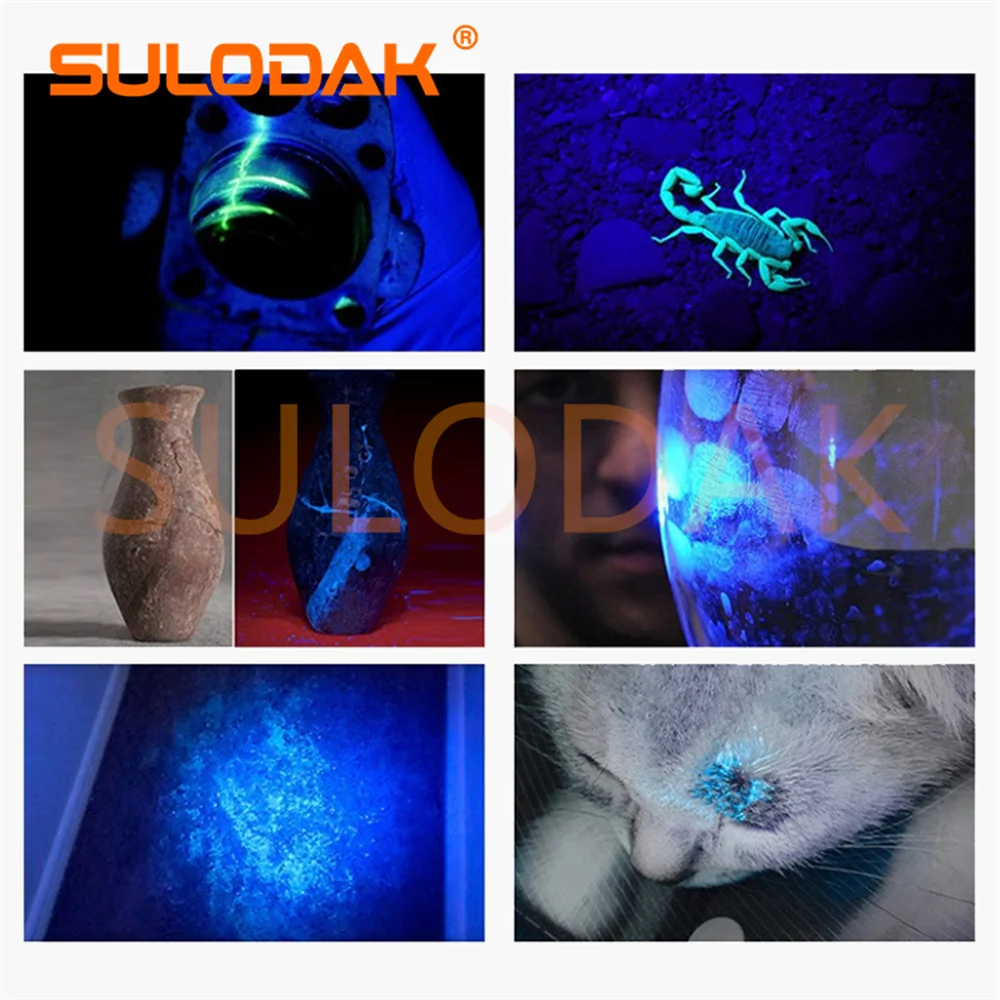 365nm UV Flashlight Ultraviolet Light Torch Pet Urine Stains Ore Scorpion Detection Lamp