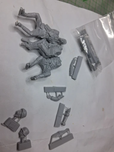Buyer photo of this resin kit