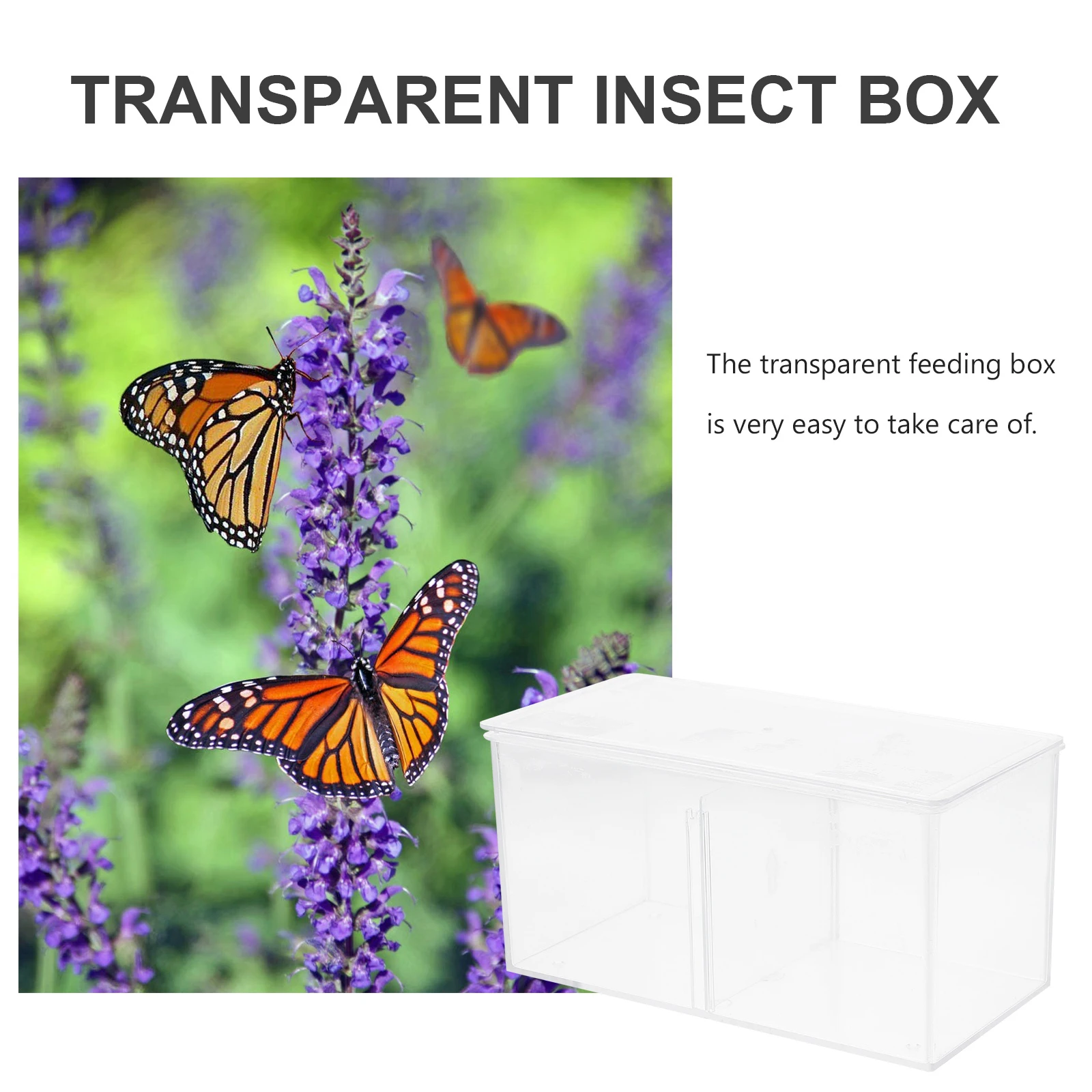

Small Insect Observation Educational Toy Durable Clear Lid Breeding Tank Bug Case Science Nature Study