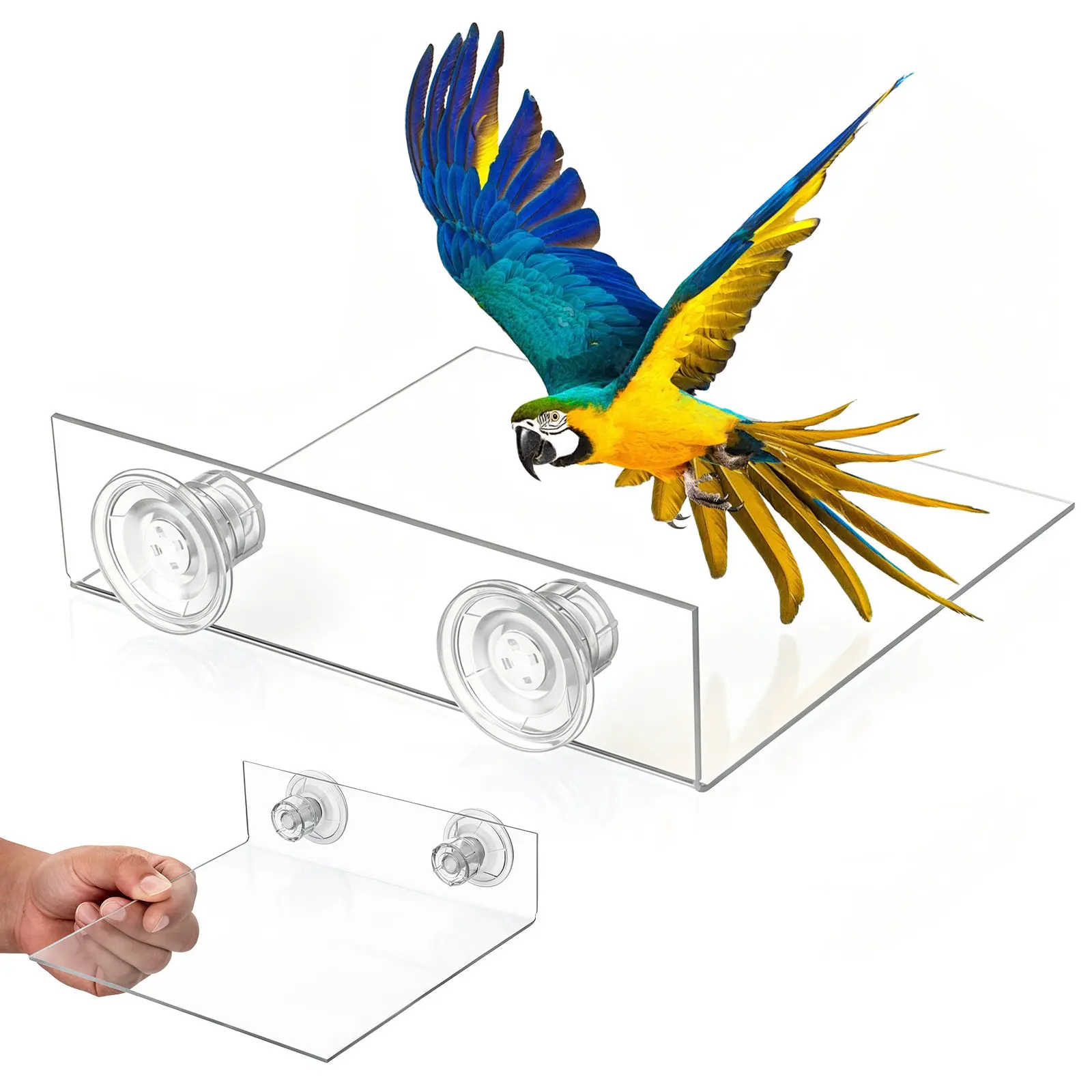 Parrot Platform Cup Perch Stand Stable Shower Window Wall Mounted Bird Perch Cockatoo Macaw Parakeet Flat Shelf