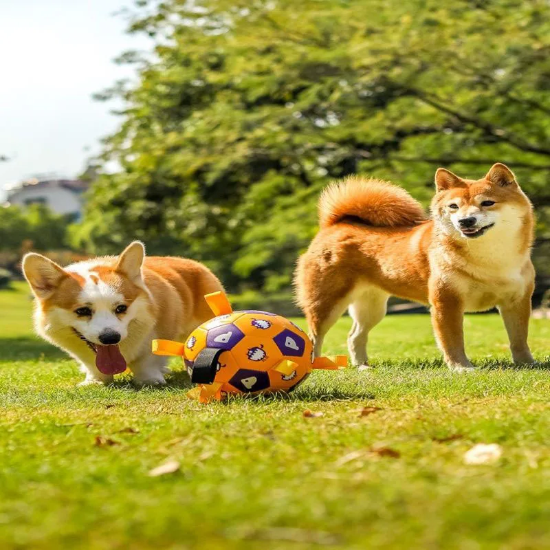 Durable Dog Soccer Ball Toy with Ribbons Interactive Pet Chew Toy for Small Medium Dogs Bite Resistant Training Ball Outdoor Toy view 2