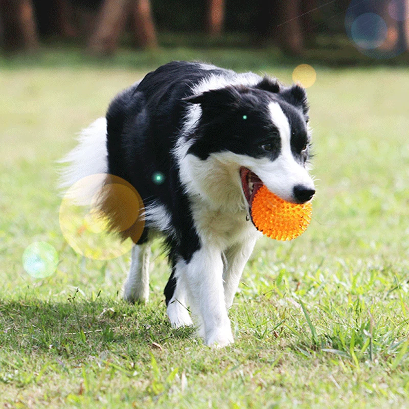 Bite Resistant Pet Chew Ball Toys for Small Large Dogs Elastic Buoyant Squeaky Puppy Big Dog Toy Border Shepherd Collie Supplies