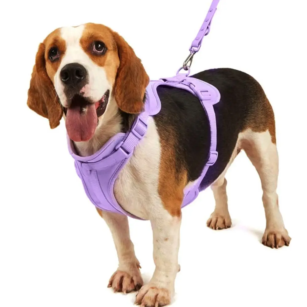 Breathable Lightweight Pet Harness Adjustable Dog Chest Strap Outdoor Walk Training Puppy Leash Animal Supplies