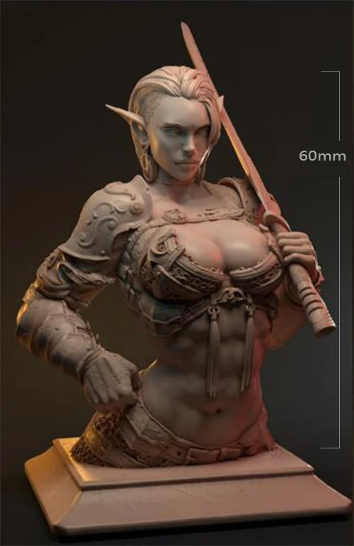 

1/18 60mm Resin Model Female Warrior Woman Bust Figure Sculpture Unpaint No Color RW-762