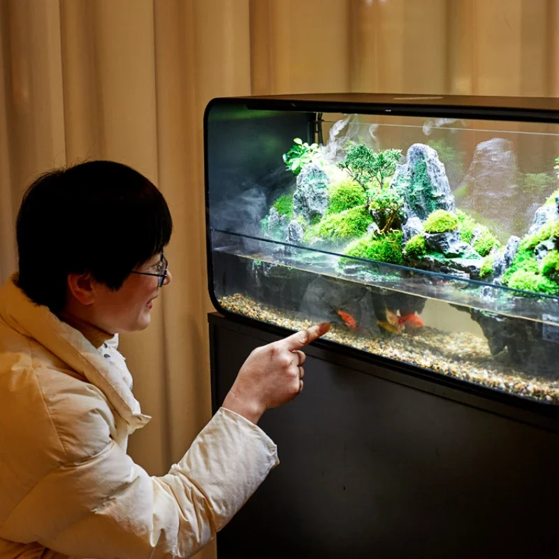 

Tropical Rainforest Tank Fish Tank Living Room Small Desktop Plant