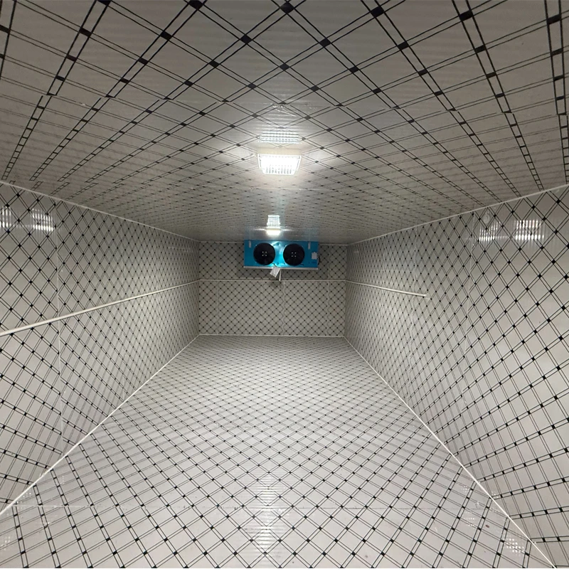 Hot  20ft 40ft Cold Storage Cold Room Freezing Cooling Room Walk in Freezer Room