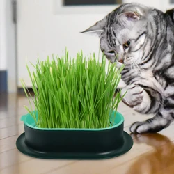 New Pet cat sprout Dish Growing Pot Hydroponic Plant cat Grass Germination Digestion starter Dish Greenhouse Grow Box