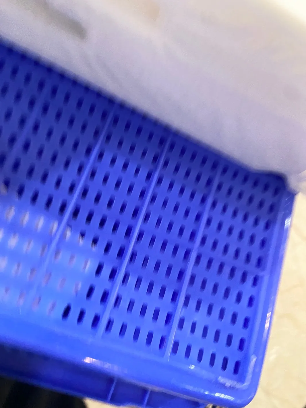 

5X 1552751 1516725 TRAY POROUS PAD Резервуар для отработанных чернил для EPSON Stylus Office B1100 T1100 T1110 ME Office 1100 WF1100 L1300 ME1100