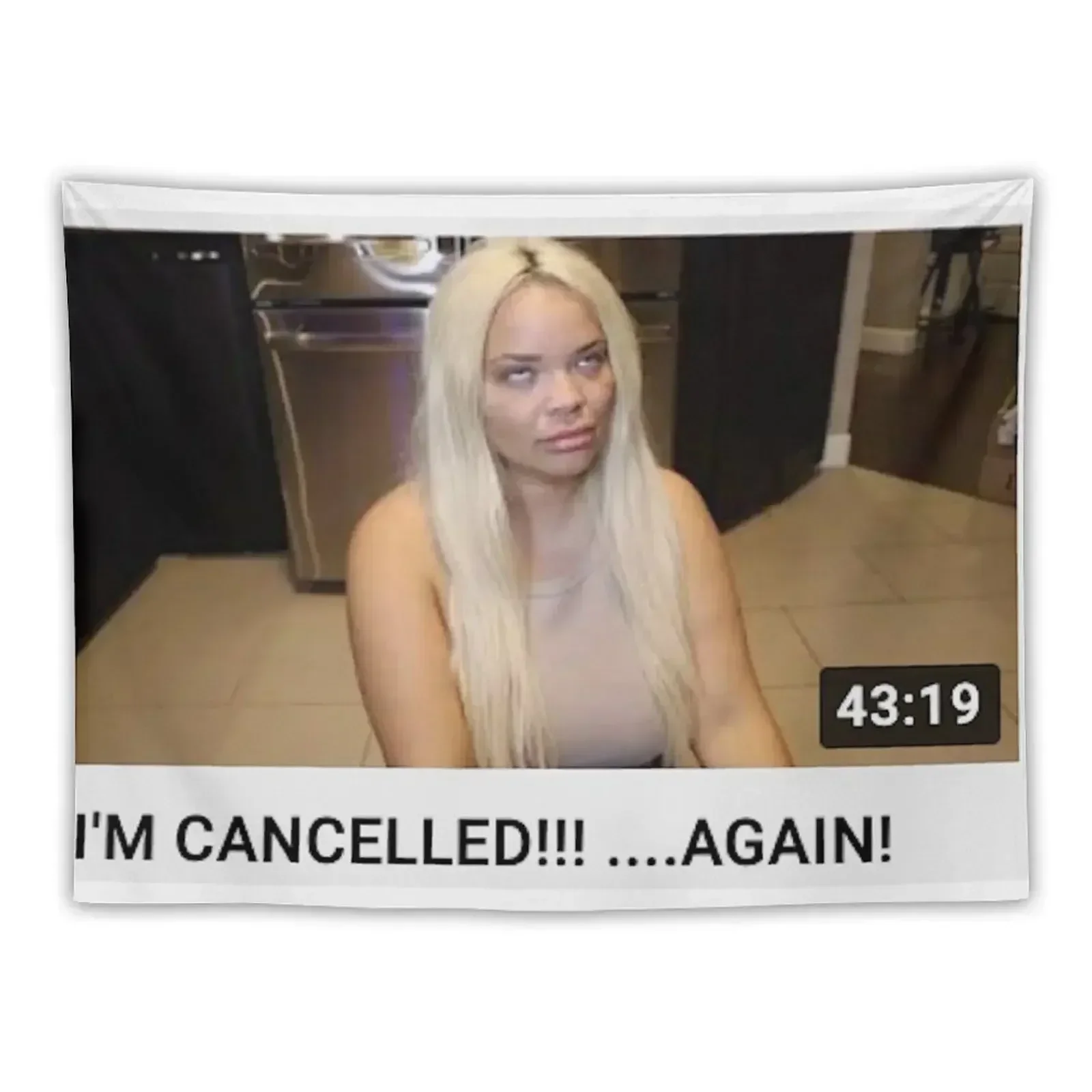 

trisha paytas Tapestry Cute Room Decor Room Decor Korean Style Tapestry