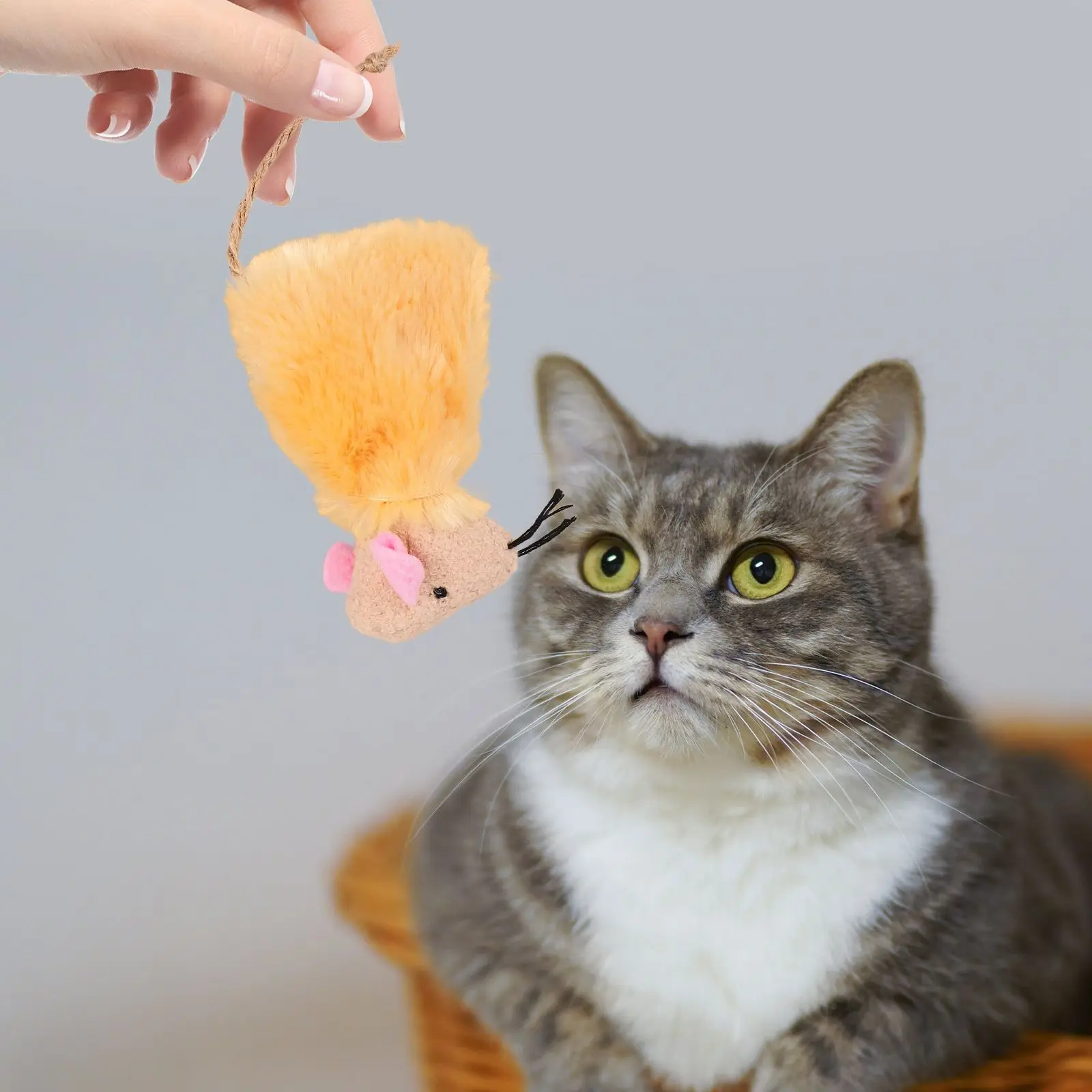 3 uds juguete de simulación de gato de lujo juguetes para cachorros de bebé Teaser peluche interactivo interior