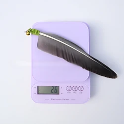 Plumas de repuesto para varita de gato – 3 unidades