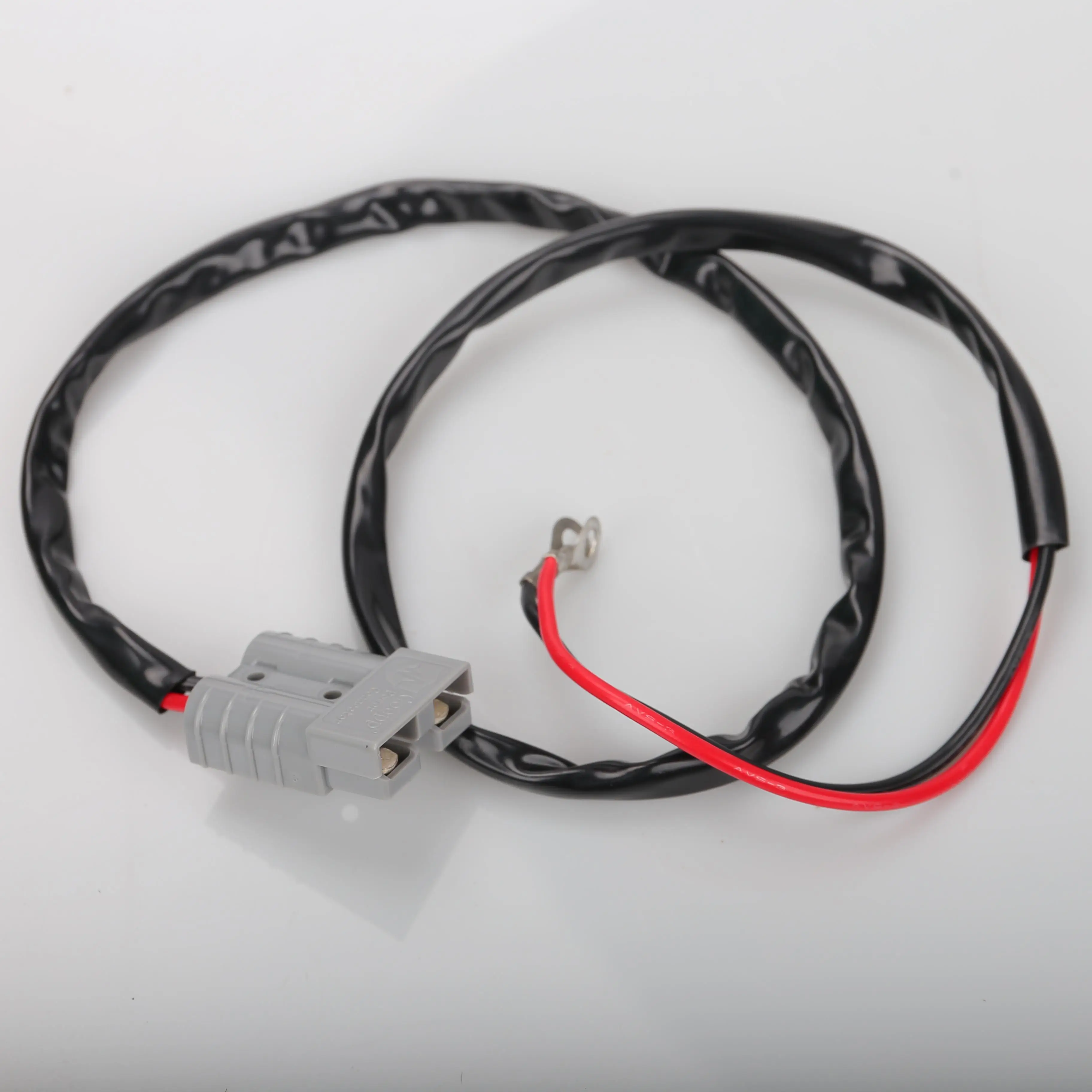 트럭에서 캠핑 여행 오일 프리 요리를 위한 12V 200W 2.5L 전기 에어 프라이어