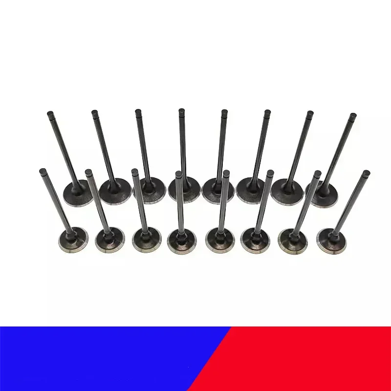 

22211-25002 22212-25002 16PCS Intake Exhaust Valve Kit For Hyundai Sonata Tucson 2006 - 2009 For Kia Optima Rondo 2.4L