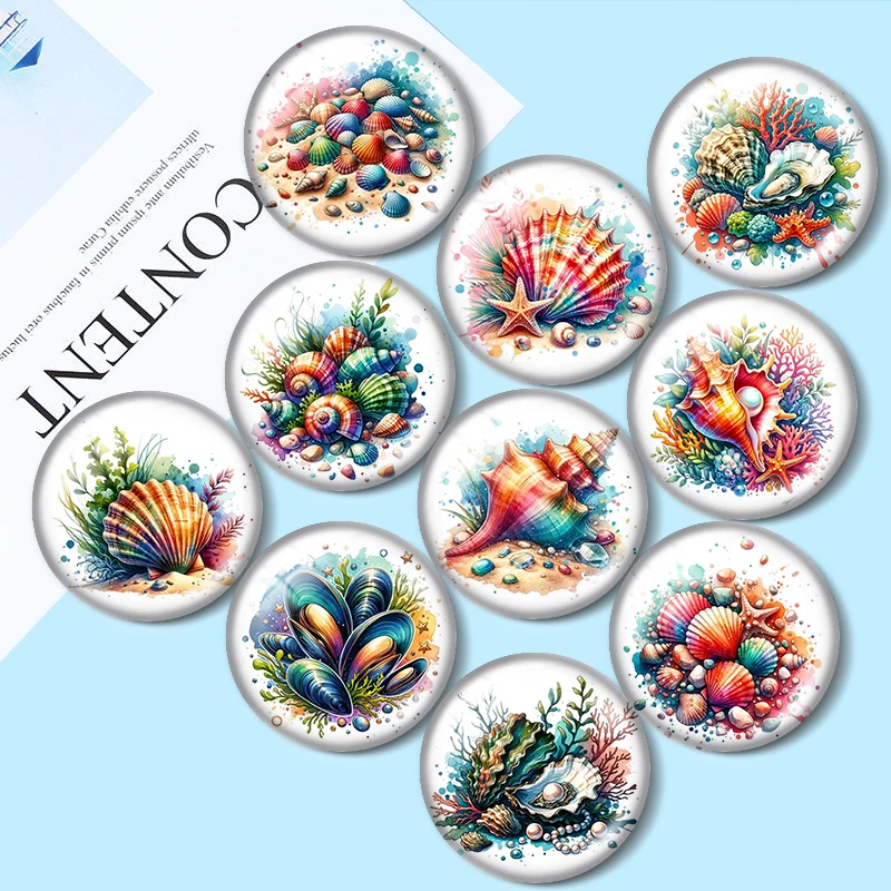 

Colorful Sea Shell Clipart10pcs 12mm/18mm/20mm/25mm Round photo glass cabochon demo flat back Making findings