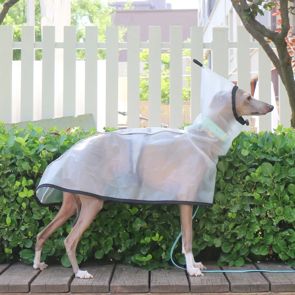 

Waterproof Rainproof Windproof Abdomen Fixed Cape for Italian Greyhound Transparent Lightweight Hooded Raincoat in Summer Spring