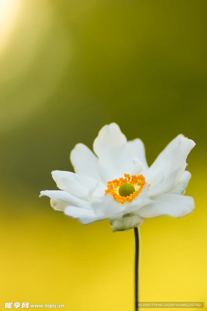 

Карбоновая опорная пластина для сервопривода ST/TH TO-266-MP11 для радиоуправляемых моделей Kyosho MP11, запчасти и аксессуары для тюнинга