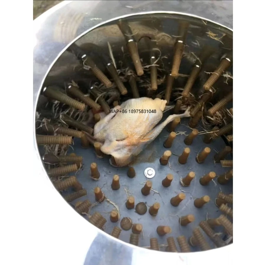 

Versatile Poultry and Beef Slaughtering Equipment Meat Processing and Industrial Slaughterhouse Machinery