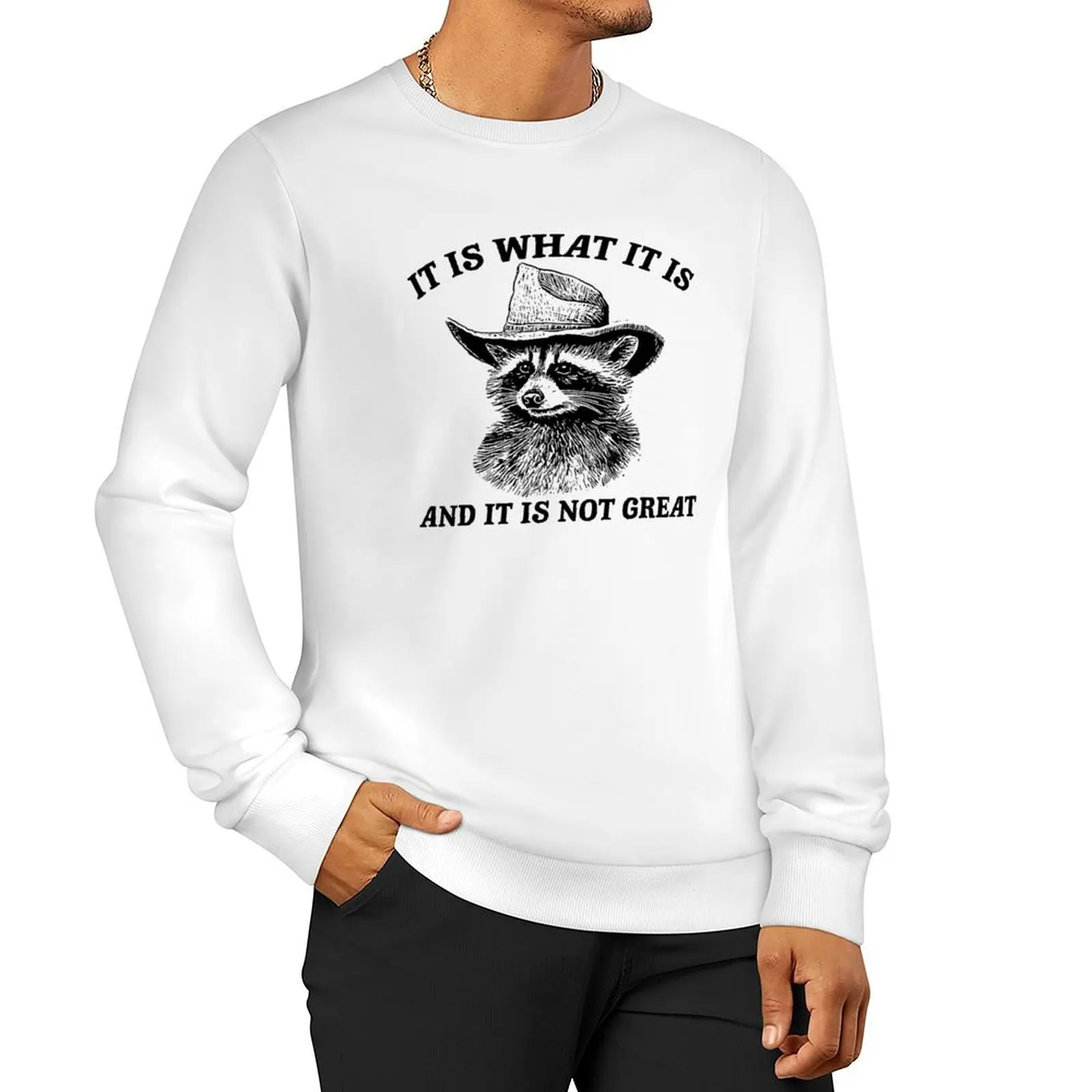 

It Is What It Is And It Is Not Great Funny Raccoon sarcastic Sweatshirt tracksuit men oversize sweatshirt