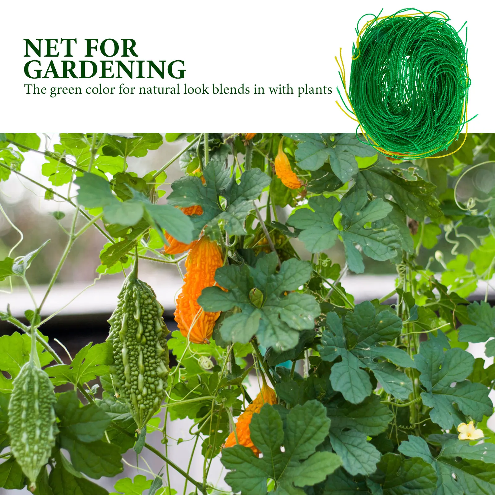 

2 Sets Garden Netting Climbing Grid Squash Trellis Vegetable Plants Gardening Green Vine Petunia Fruit Vines Bean Increase Air