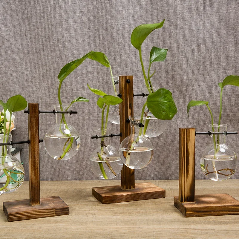 Wooden frame hydroponic vase, green ivy glass vase container, office desk, green plant decoration, flower pot