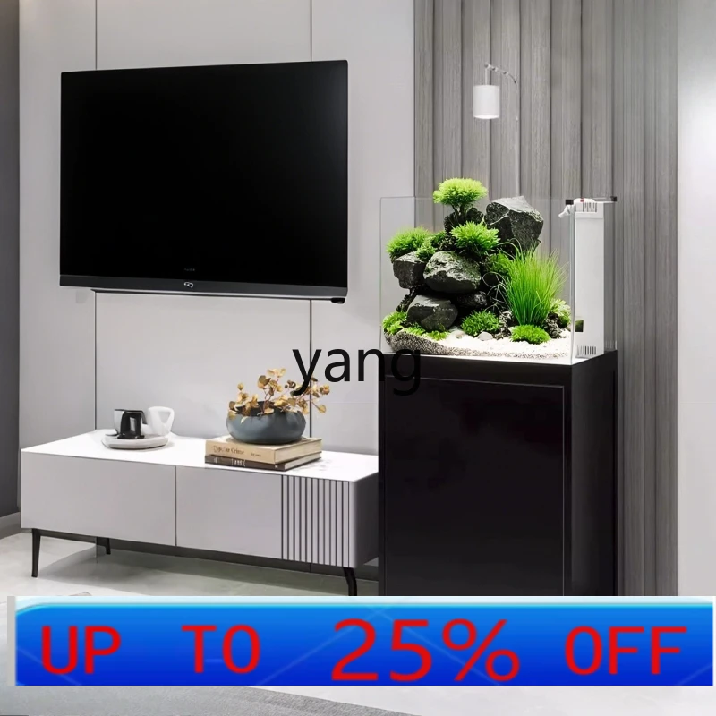 LH bottom filter fish tank special tank ultra-white living room large fish tank landscaping ecological aquatic plant