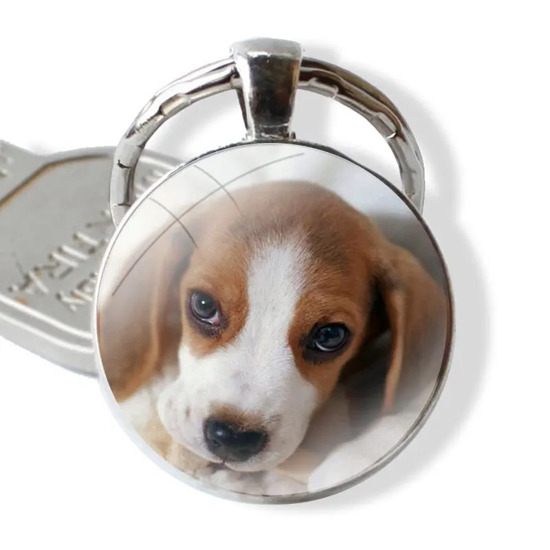 25mm Glass Cabohcon Keychain Key Rings for Women Men Jewelry Gift sweet beagles puppies Loyal Dog