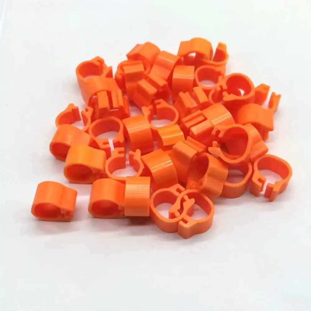 Pigeon Leg Rings Plastic Identification Bands For Poultry Racing Birds Management Durable Numbered Marker Tags