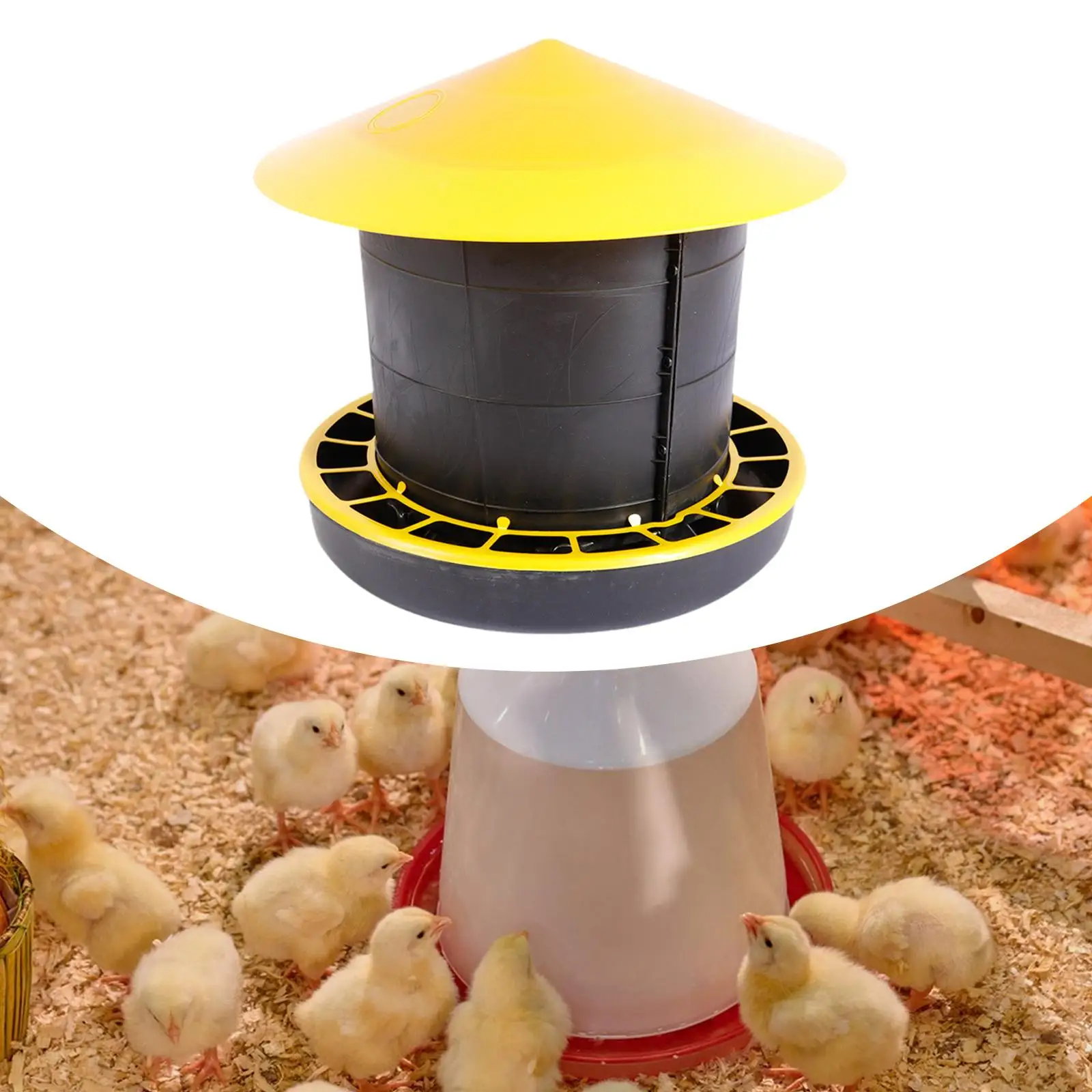 

Chicken Feeder Backyard Large Capacity Farm Goose Feeder Poultry feed Bucket Bird Feeding Bucket for Duck Pigeon Chook Hen Quail