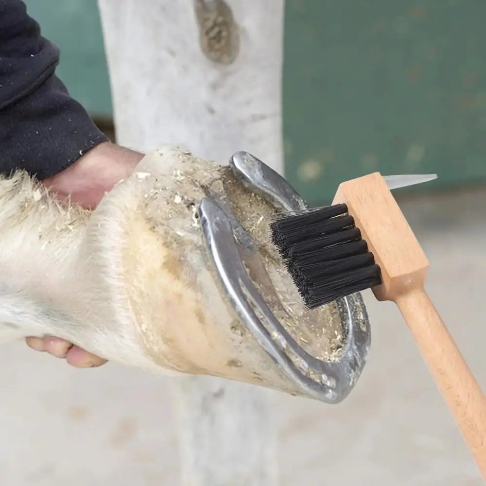 مقبض خشبي لخيل الخيول، أدوات زراعة القدم، فرشاة تنظيف الحوافر، فرشاة تنظيف من الفولاذ المقاوم للصدأ