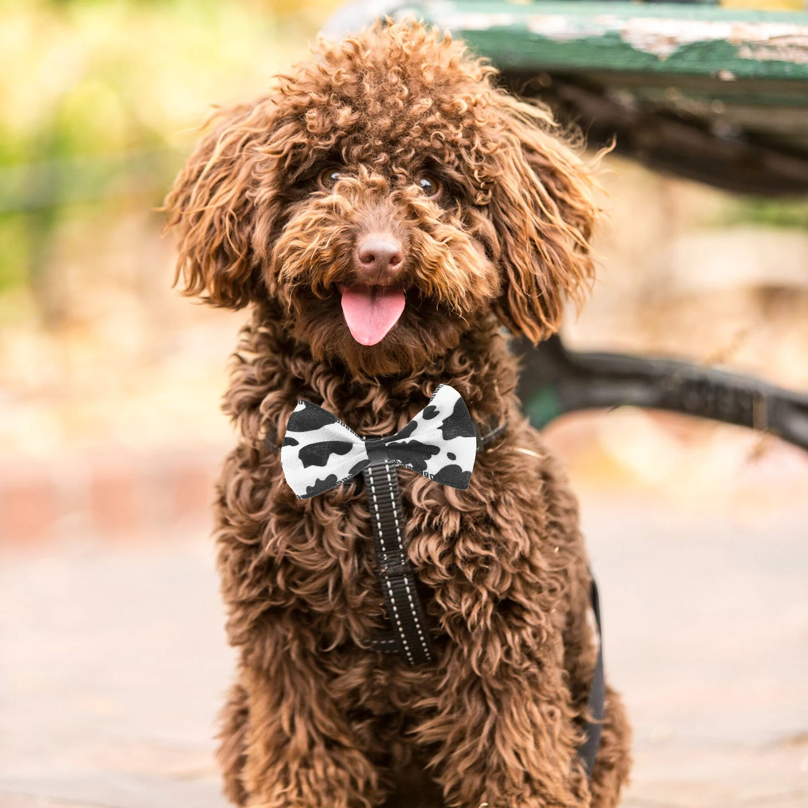 

Pet Bow Tie Collar Soft Adjustable Cat Dog Kitten Neckwear Decorative Collar For Daily Wear Party Gift Cat Supply