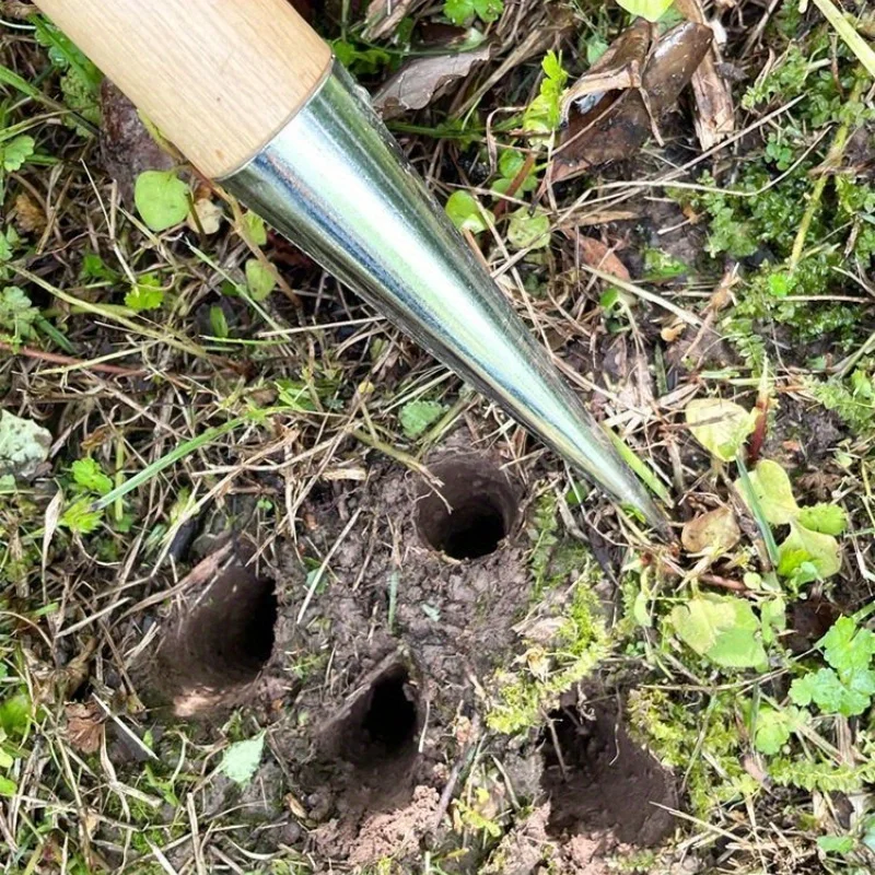 قطعة واحدة من أدوات زرع وتثقيب البستنة لزراعة بذور الزهرة، وتصريف الشتلات، وأواني الزهور اللحمية