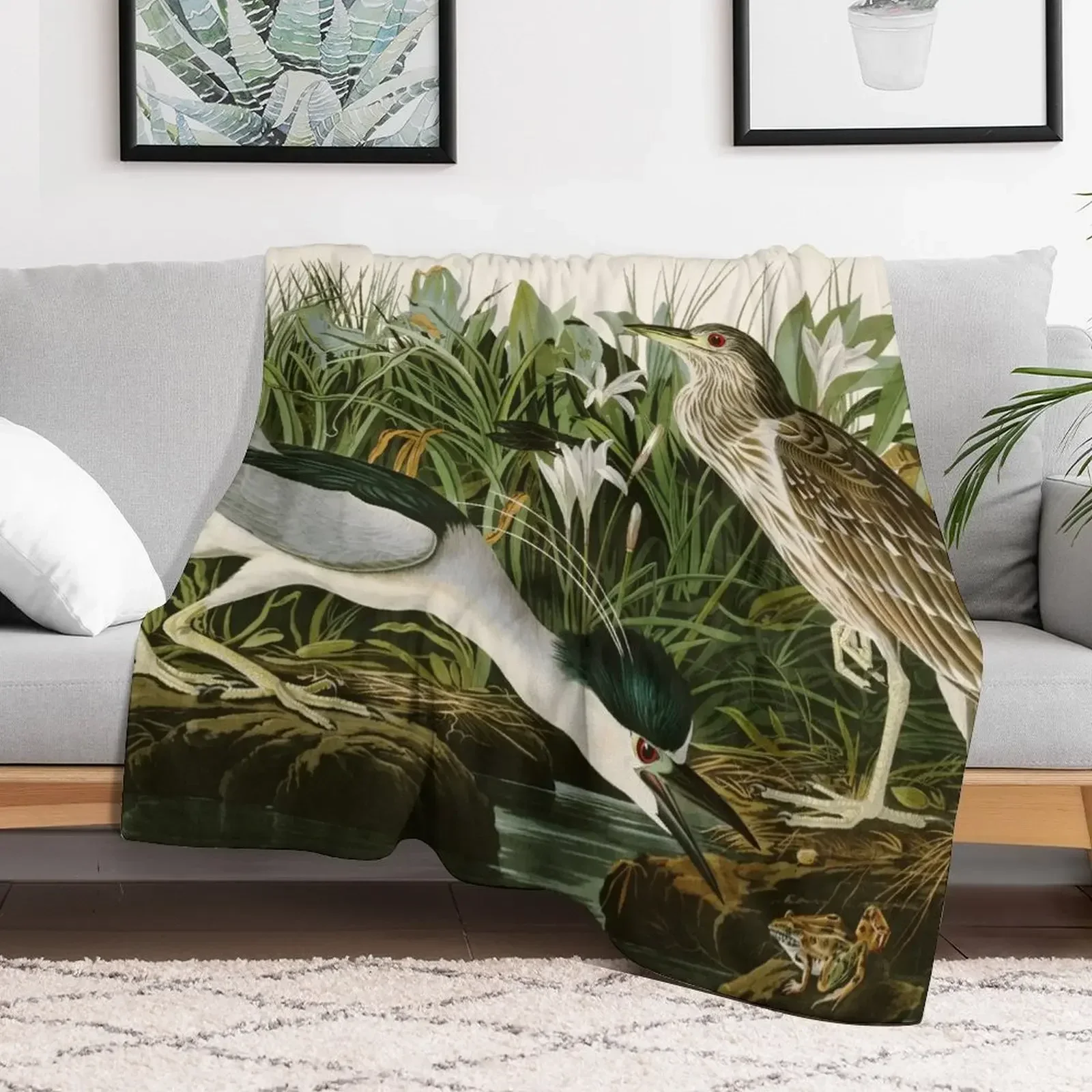 

Night Heron - John James Audubon Birds of America Throw Blanket Custom for sofa Plush Blankets