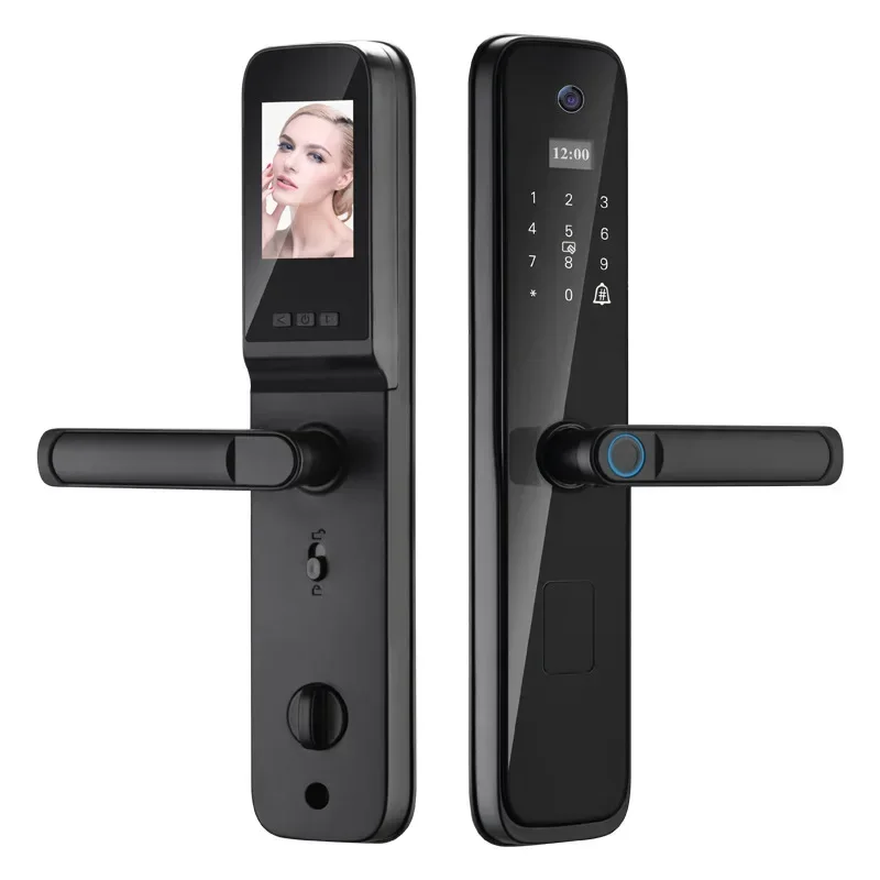 Household Anti-theft Door Wooden Door Fingerprint Lock Entry Door Electronic Graffiti Cat Eye Password Lock Smart Lock