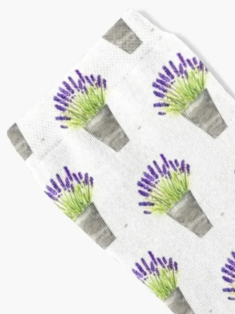 Lavender pot watercolor Herbs Purple Flowers Kitchen Socks shoes halloween new in's Socks For Girls Men's