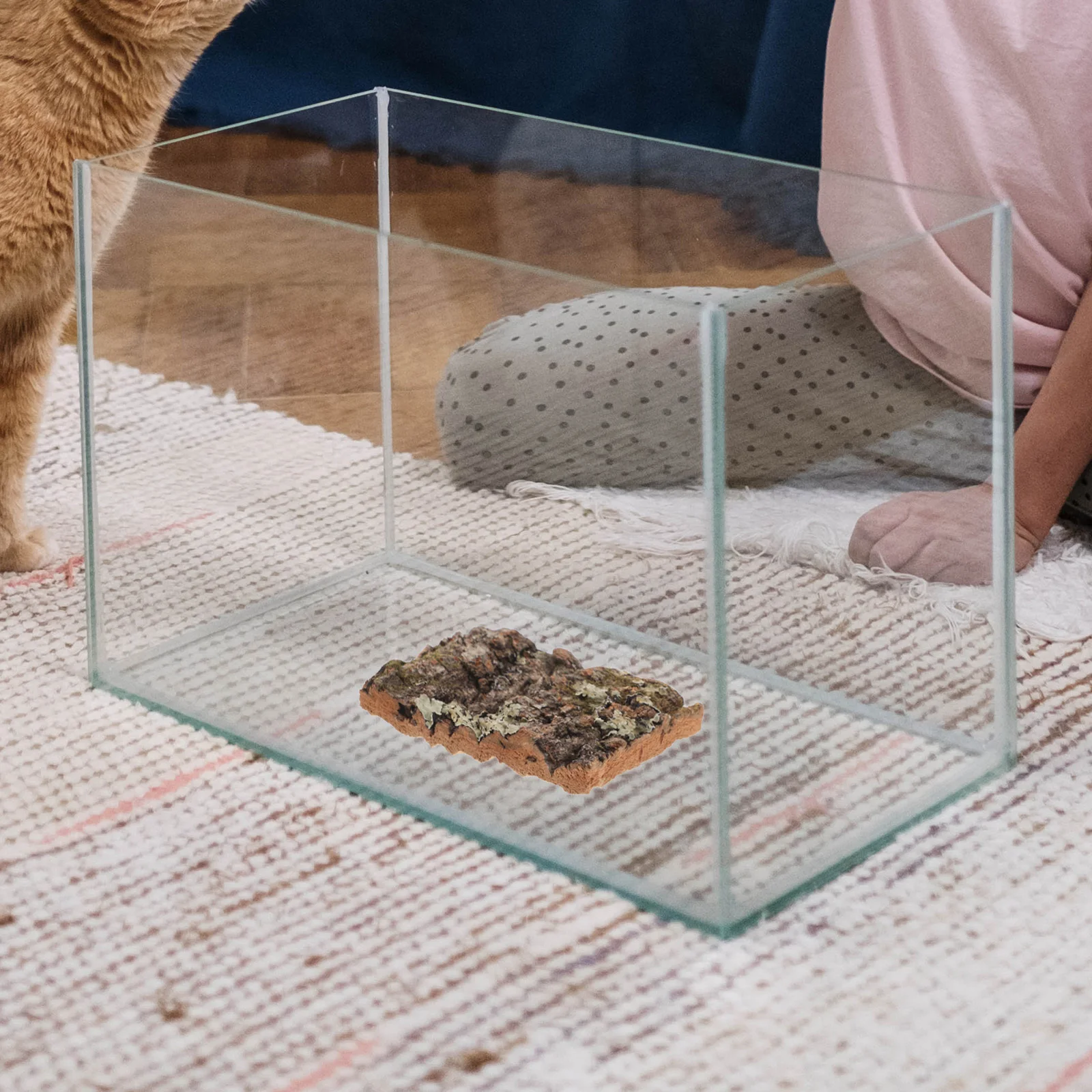 Cork Bark For Reptile Tank Decor Fish Tank Plant Wall Aquarium Background Tree Bark Decor Terrarium Supplies Lizard Climbing