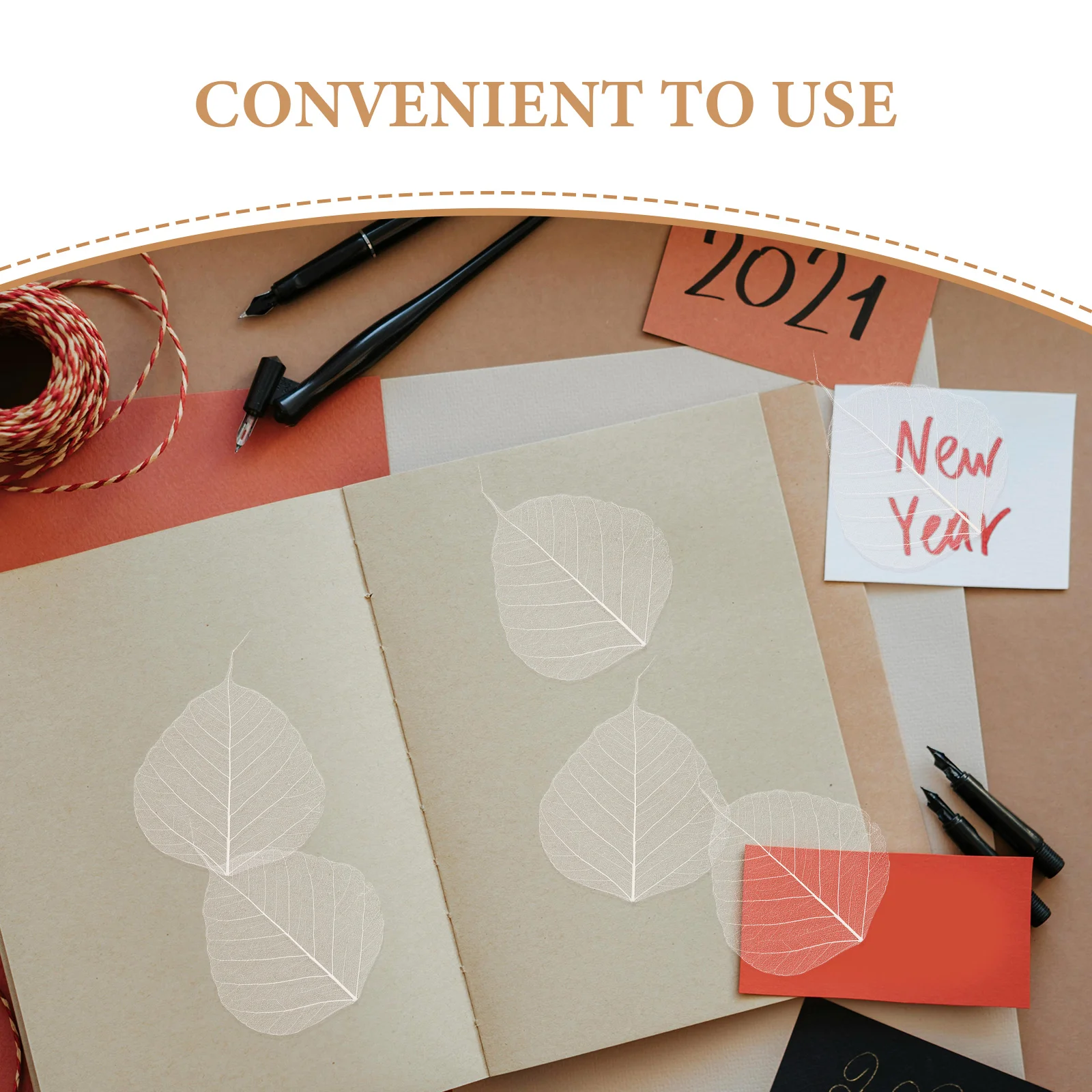 20 Pcs Decor Bookmark Accessory Leaves for Craft Project Natural Dried Specimen Baby