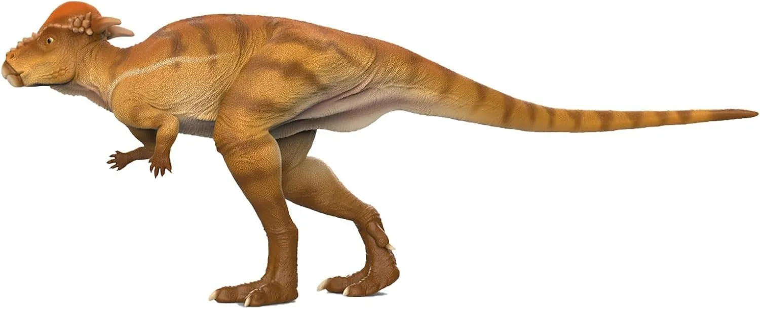 

Recur 1:18 Scale Pachycephalosaurus Hayden Model Dinosaur Animal Figure Collection Realistic Scene Decoration Birthday Gift