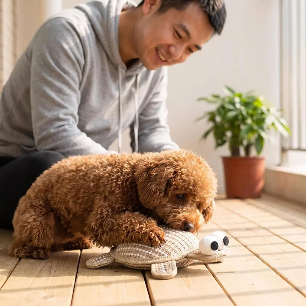 Protruding-Eyed Turtle Pet Toy Sisal Woven Scratch Resistant Molars Containing Catnip, Wood, Polygonum Cat Dog Toy